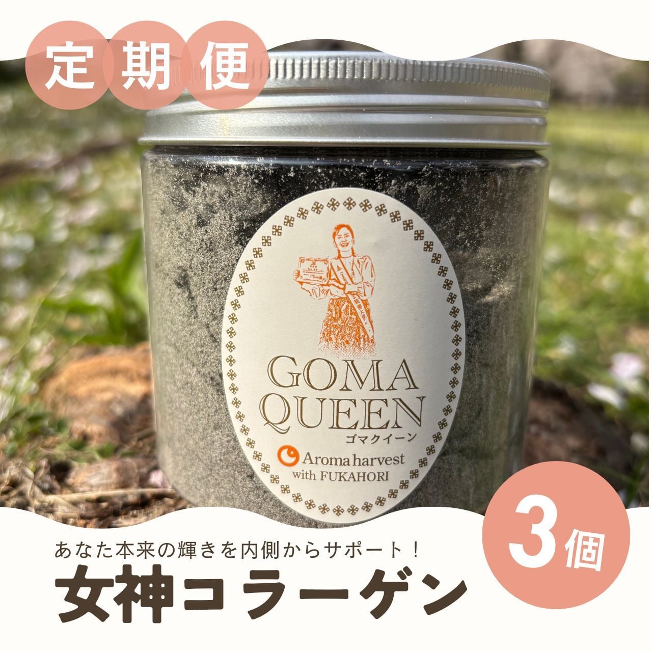ゴマクイーン | GOMA QUEEN