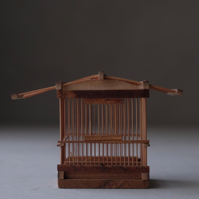 Insect cage