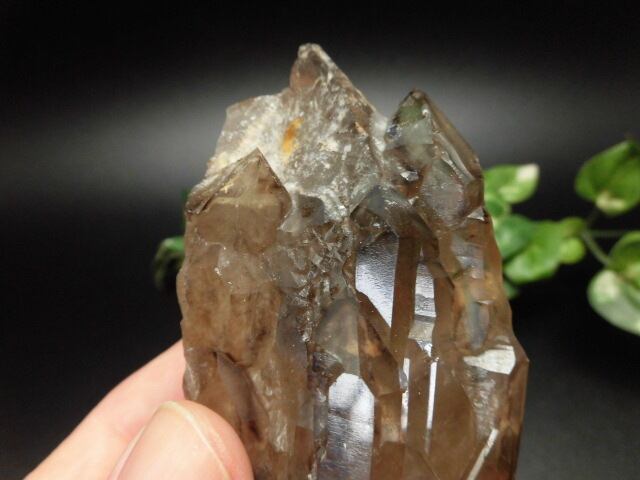 【送料無料】【高品質】ブラジル産ジャカレー水晶（アリゲータークオーツ）　no.3