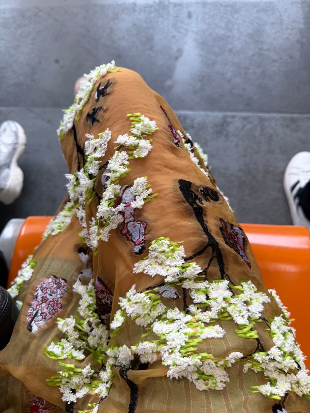 jonnlynx/sprit of us pants