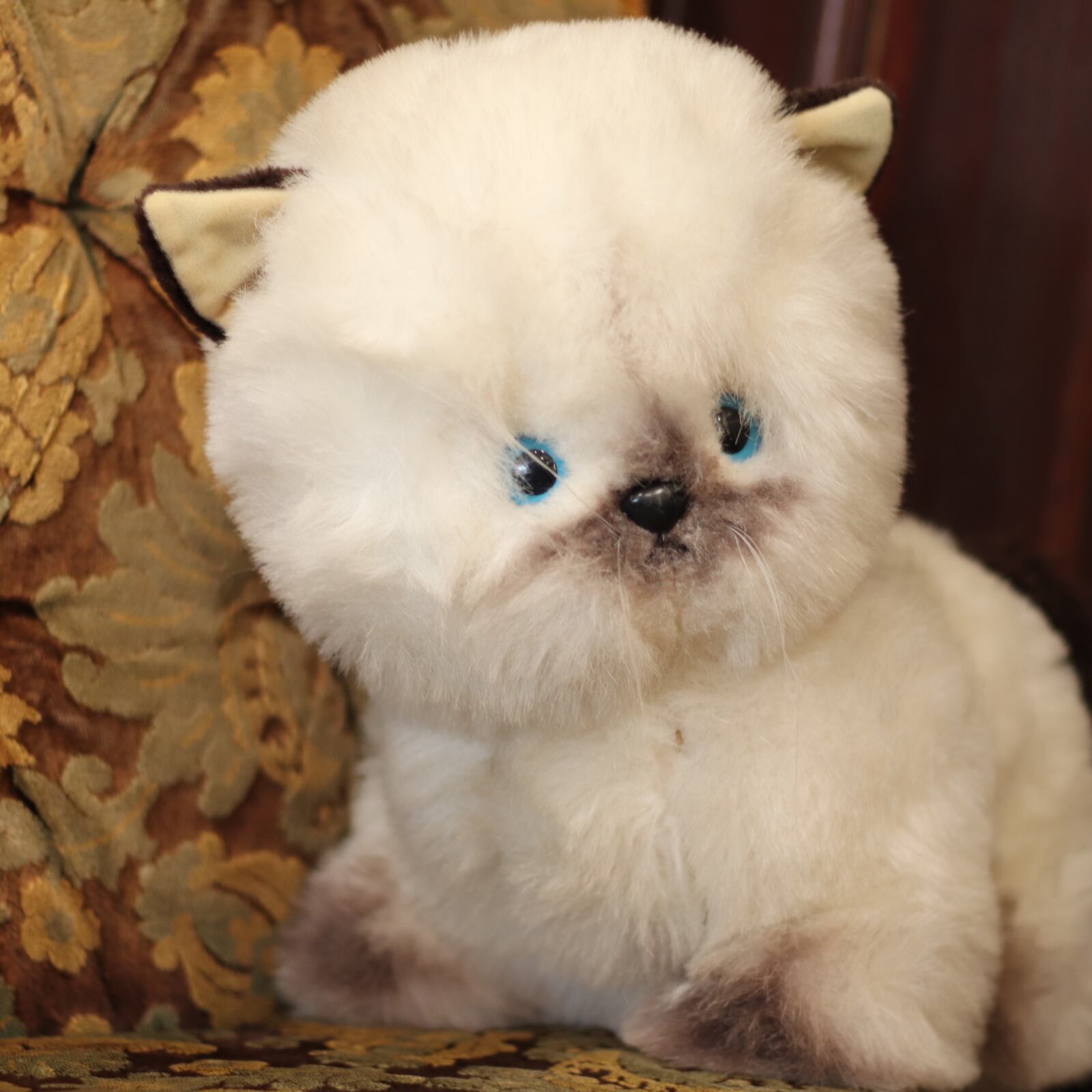 もふもふ にゃんこ シャム猫 ヒマラヤン ぬいぐるみ/日本製 ビンテージ 