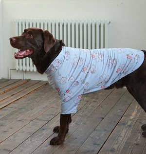 4XL～6XL/予約【andblank】Bebe Jelly phant AeroHeat T-Shirts