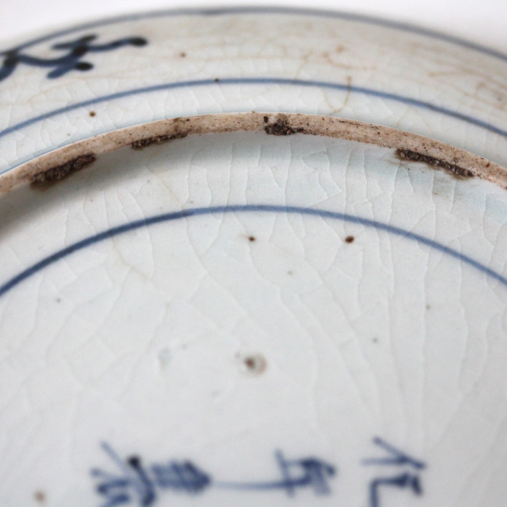 古伊万里染付枝垂桜文皿 d21.7cm Imari Blue and White Dish, Design