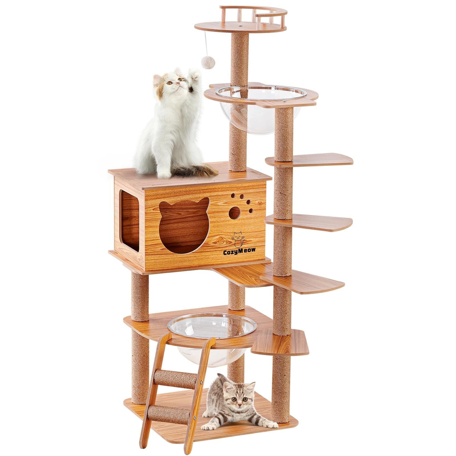 キャットウォーク最終値下げ13000➡️10000 キャットウォーク最終値下げ13000➡️10000