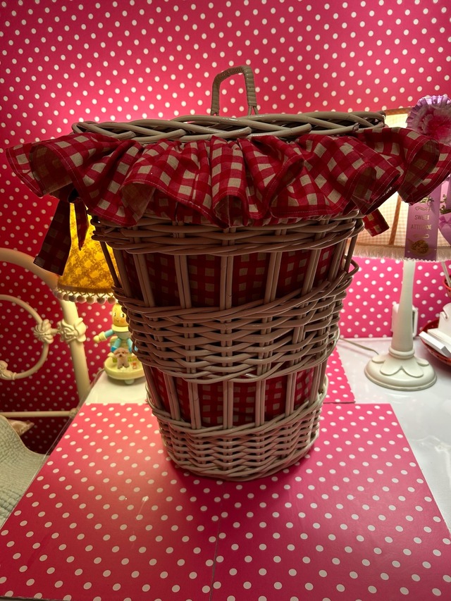 Bigバスケット (250504)