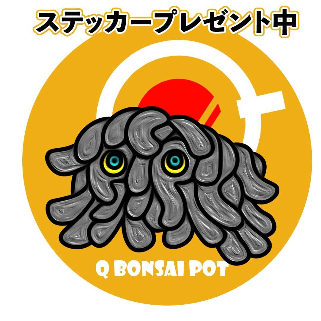 Q鉢】＃059 | bonsaiQ store