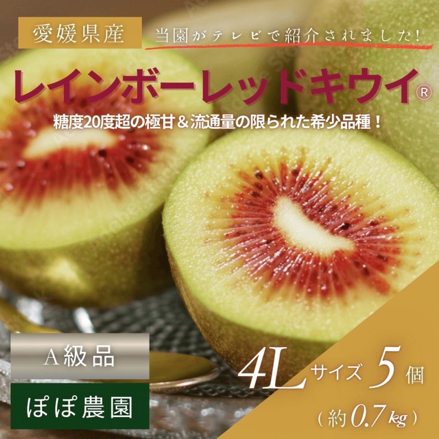 【再入荷】＜10月下旬より順次発送＞【産地直送】レインボーレッドキウイ　4Lサイズ 約5個(約0.7Kg)