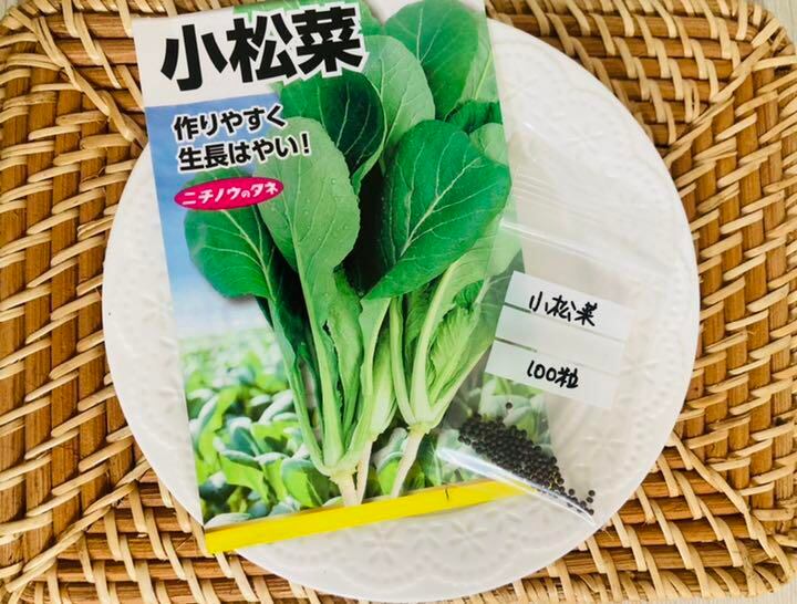野菜の種 プランター栽培ok 小松菜 収穫約３０日 種の小分け屋 種の小分け セット販売