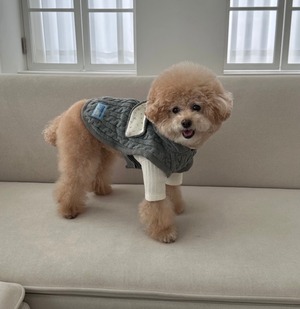 即納品【Freddie Tale】Cozy cotton t-shirt(black)Lサイズ