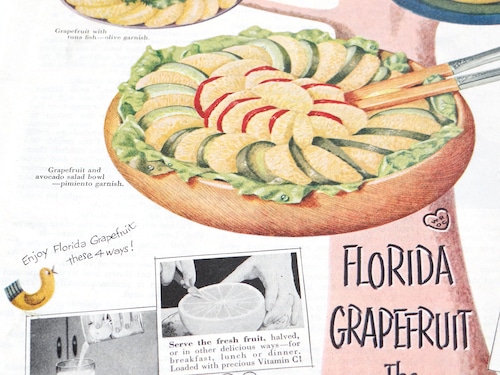 【Vintage】FLORIDA GRAPEFRUIT 雑誌切り抜き 1952年 The Saturday Evening Post /C023-26