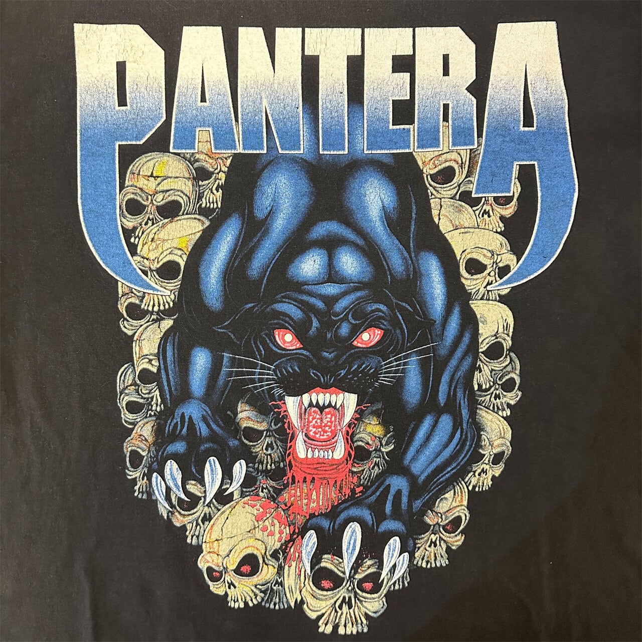PANTERA】パンテラ ブラックパンサー Vintage Tシャツ L相当