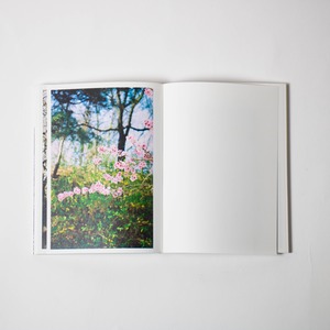 pixel per inch｜写真集「ソウルの公園」