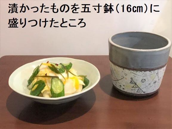 浅漬け鉢（蓋つき） | 陶工房ほうきオンラインショップ