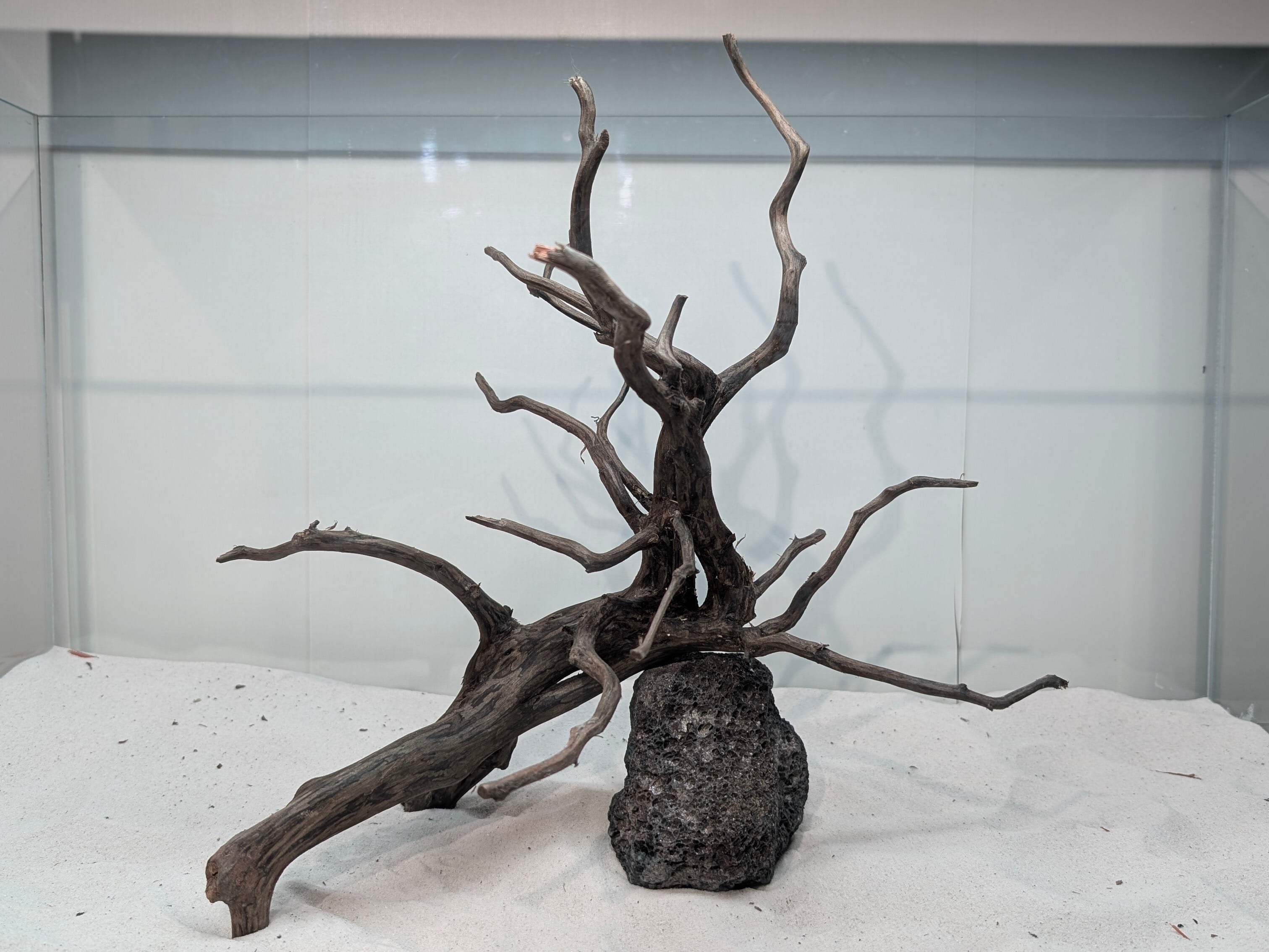 ペットの流木 水宗工房