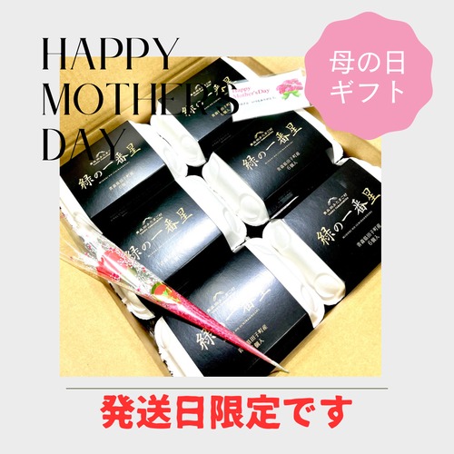 【Happy　Mother′s　Day】早割　母の日ギフト！！10％OFF【～4/30（火）までのご注文限定】緑の一番星（３６個）