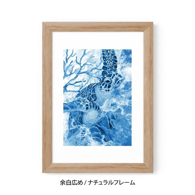 A5｜蒼海の海亀（フレームあり）