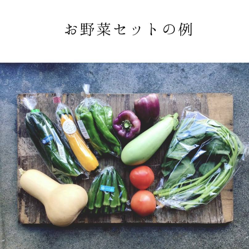 Annex　Organic　Vege　旬のお野菜set　送料込み