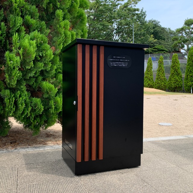 Delivery Box -Wood Slit-