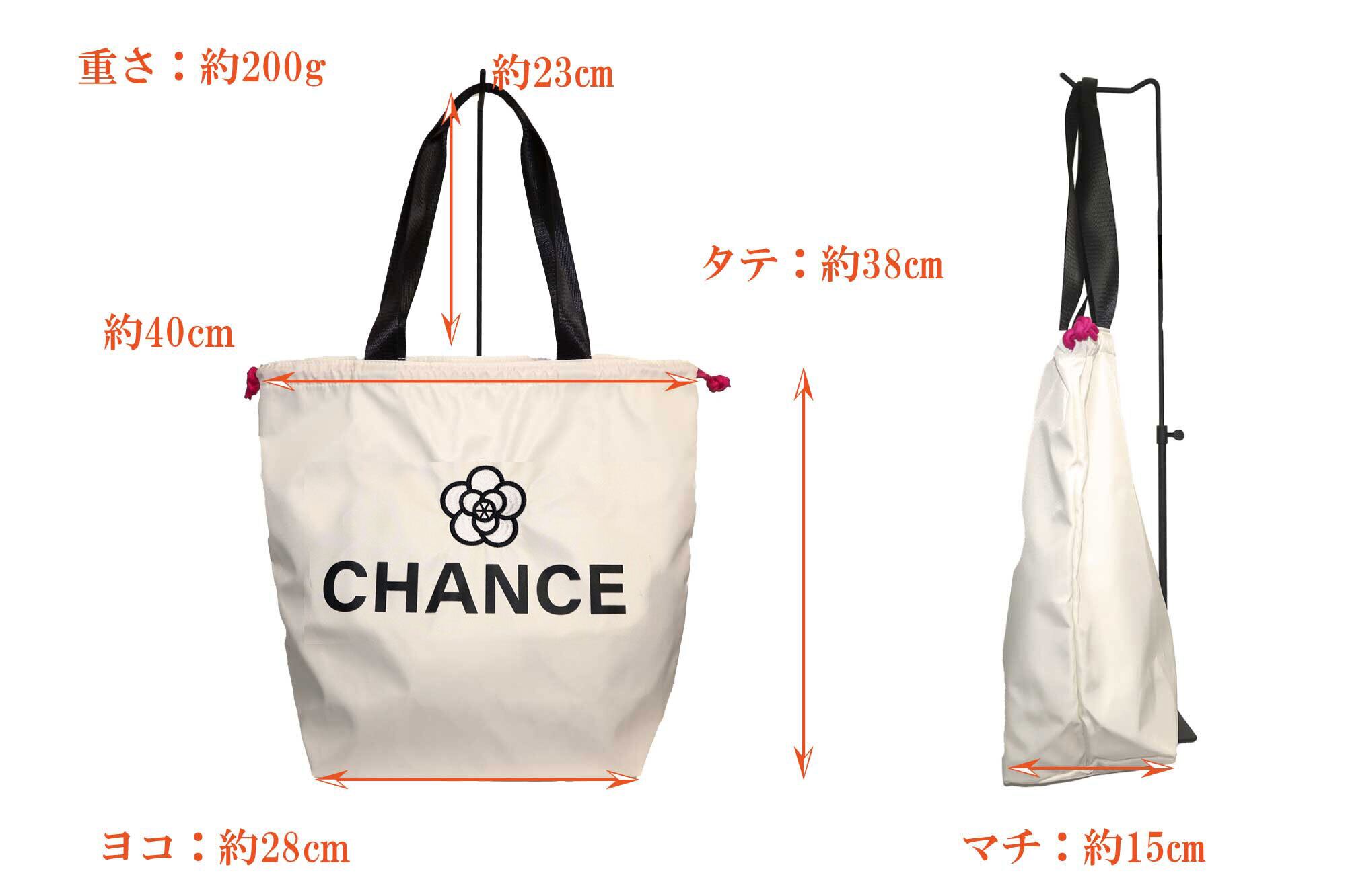&camellia/chance・ナイロン・巾着手提げ・軽量・サブバッグ・B4・A4