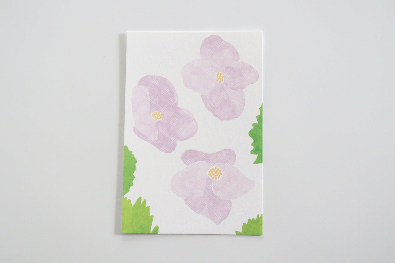 川島枝梨花 「シラネアオイ」ポストカード