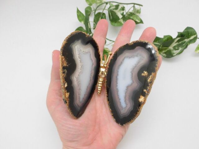 【瑪瑙】　ゴージャス蝶々　no.3