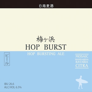 梅ヶ浜 Hop Burst（330ml）宮崎地ビール 日南麦酒