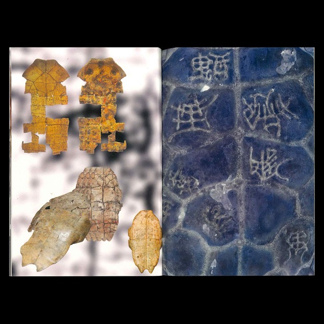 STACH SZUMSKI: CALCIUM CARBONATE