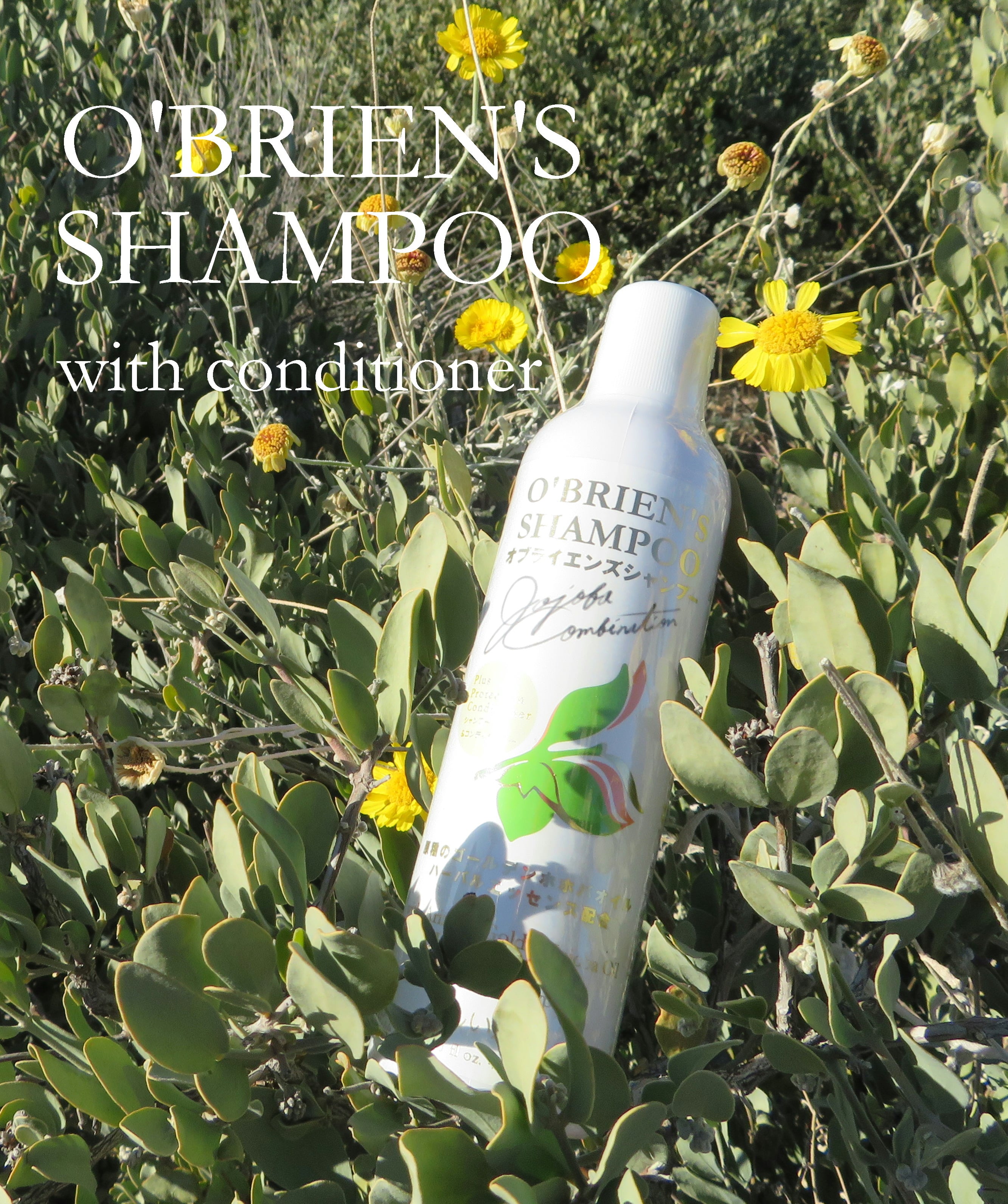 O'BRIEN'S SHAMPOO | LIVIE SUNUP FARMS