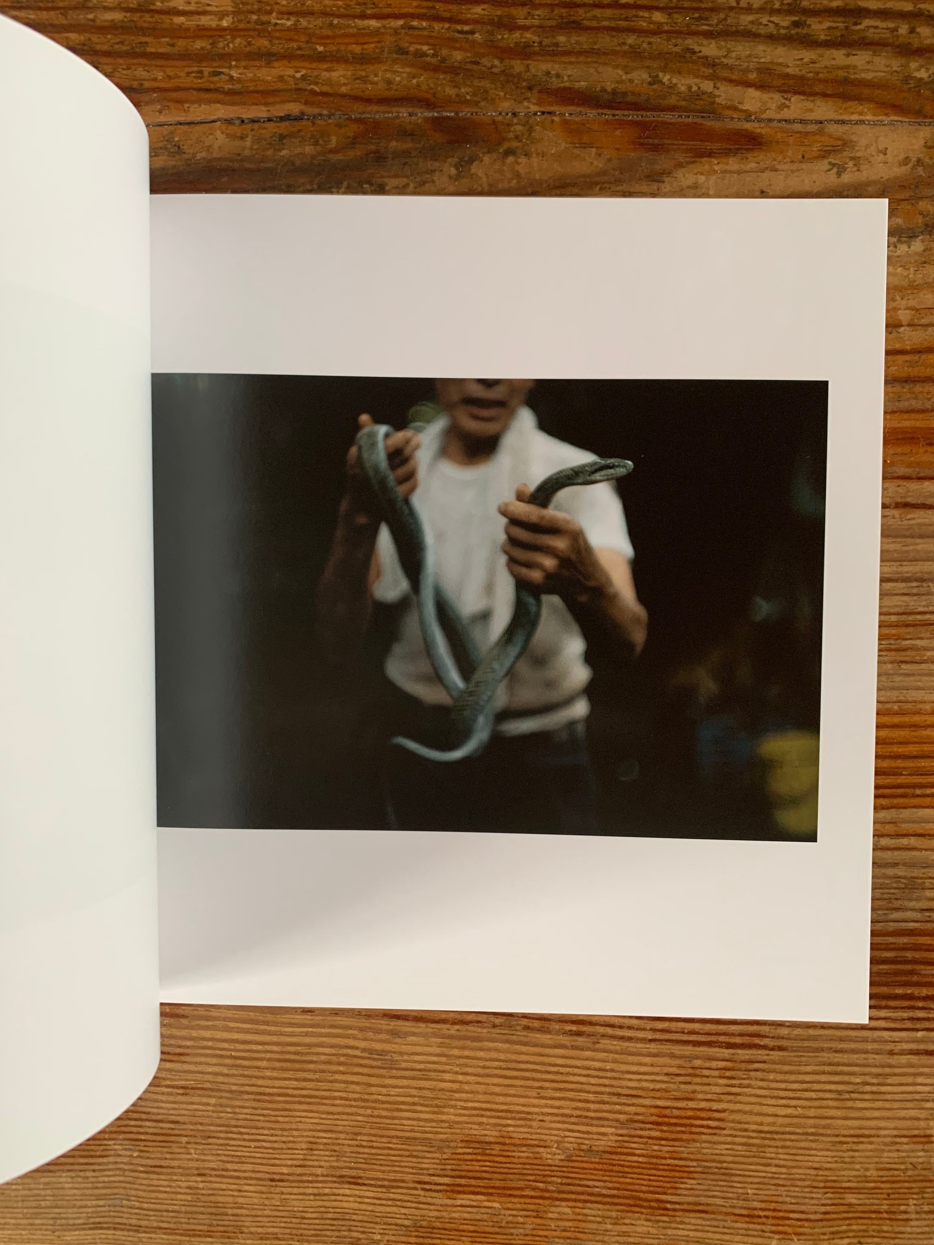 サナヨラ　大森克己 サナヨラ | 大森 克己 |本 | 通販 | Amazon