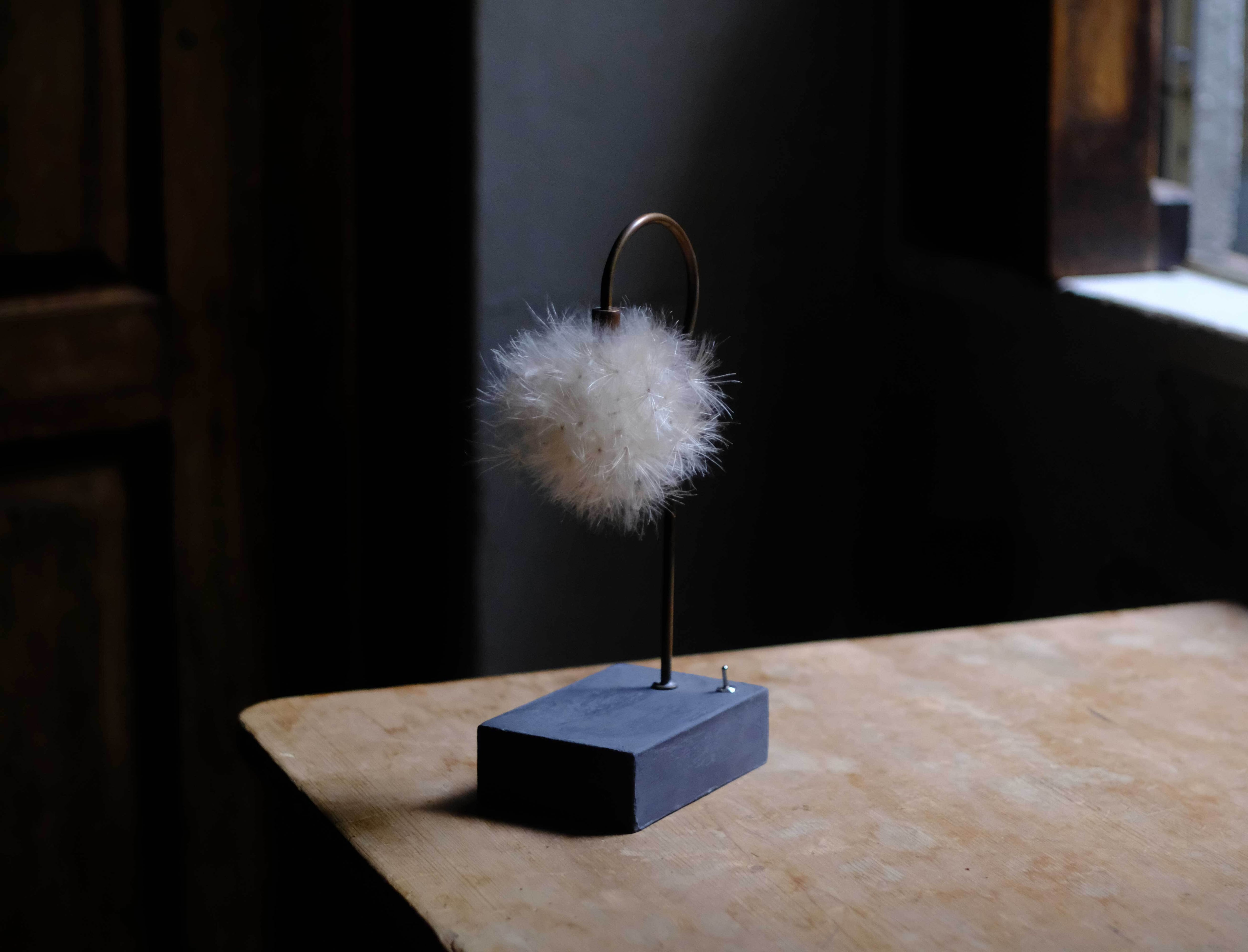 The FINAL EXHIBITION] 森の小さな灯 no.22 アザミ | はいいろオオカミ