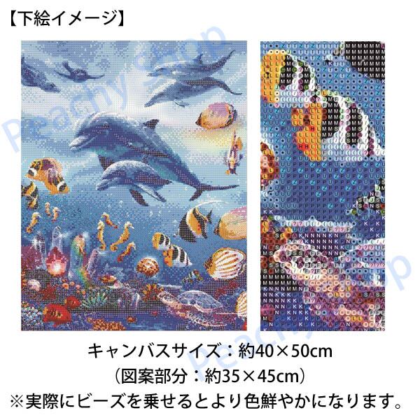 DIY 数字油絵 イルカの月 ペイントバイナンバー 子供と大人向け 初心者