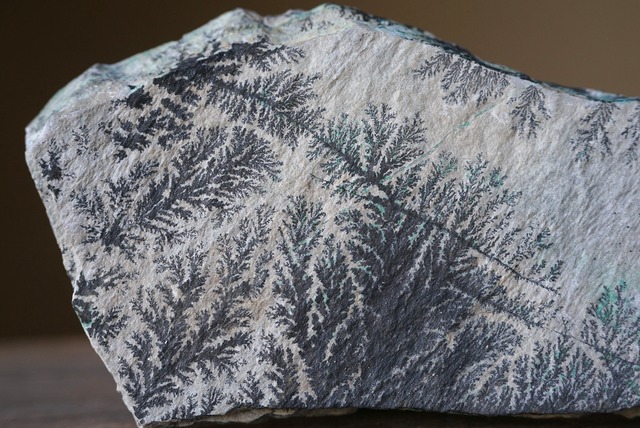 コンゴ産デンドライト・クリソコラ Dendrite / Chrysocolla ③