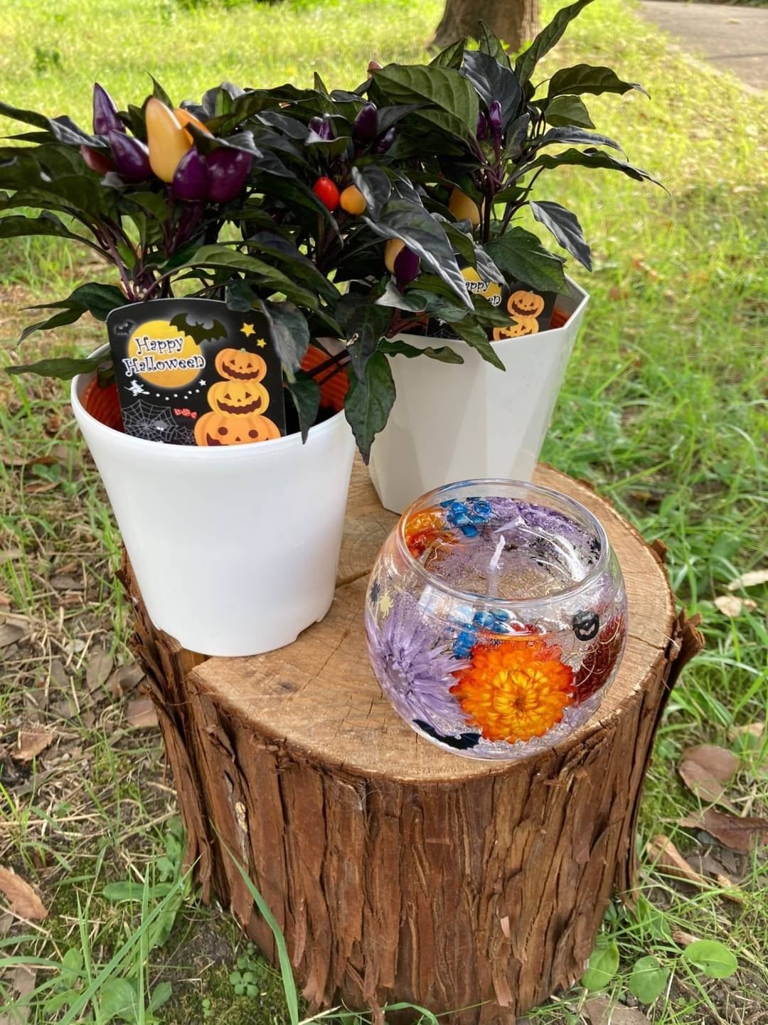 ボタニカルジェルキャンドルキット 花美知オンラインショップ