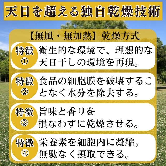 【ヒルナンデスで紹介！】うま味ソルト　牡蠣と帆立【ボトルタイプ】