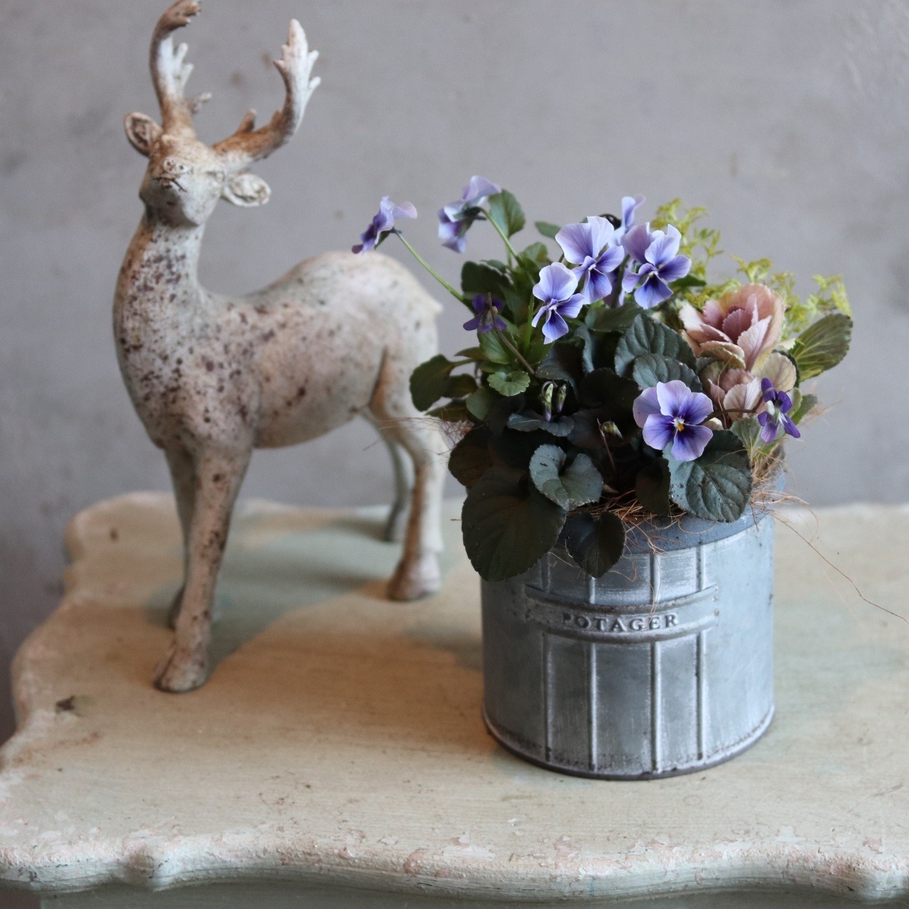 冬から春に楽しむ寄せ植え　北島ビオラとスミレとハボタンのシックな寄せ植え　届いてすぐ玄関に飾れる 　プレゼントにもオススメ　