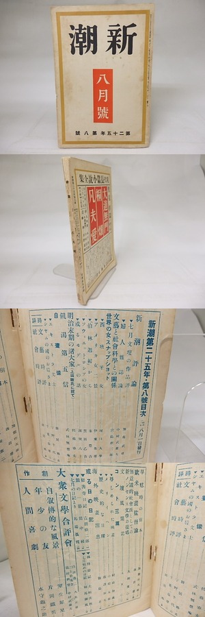 新潮　第25年第8号　昭和3年8月号　/　　　[18561]