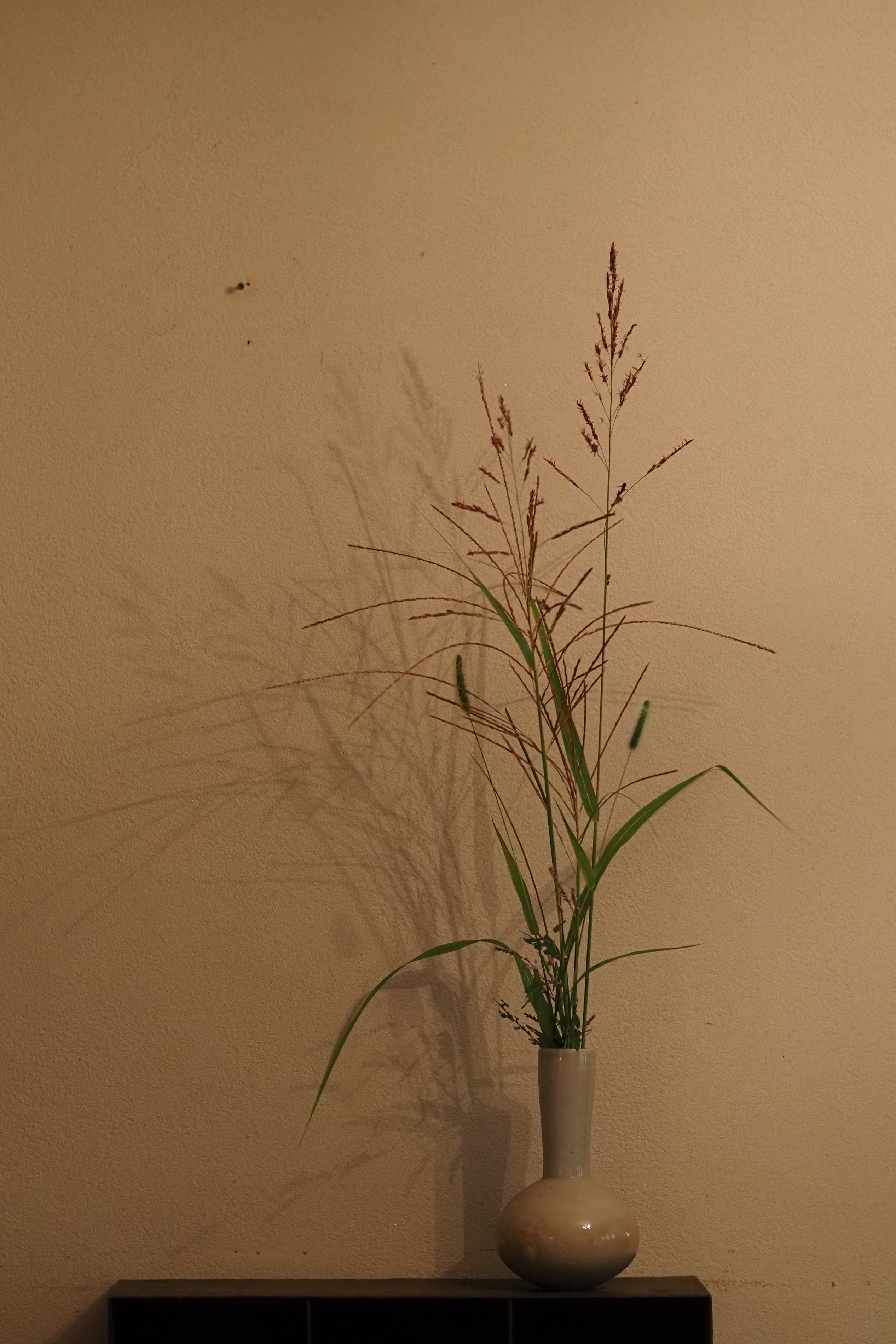 伊藤環 24. 柞灰須恵型花入 | 陶屋なづな