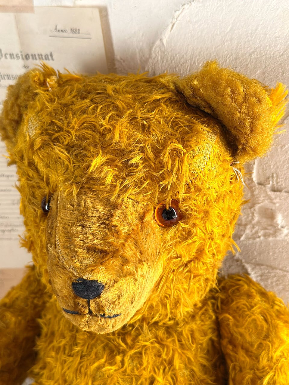 イエローベア 黄金色 クマのぬいぐるみ | Brocante de La Cocotte