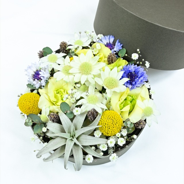 ボックスフラワー　CMサイズ