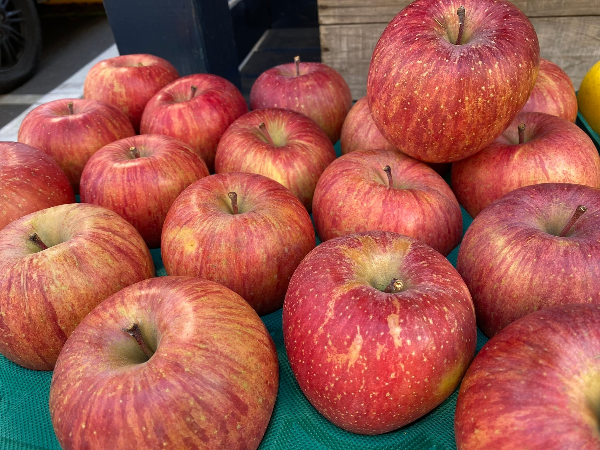 青森りんごジュース200年続く興陽園(ストレート)12本入り入り | 【公式