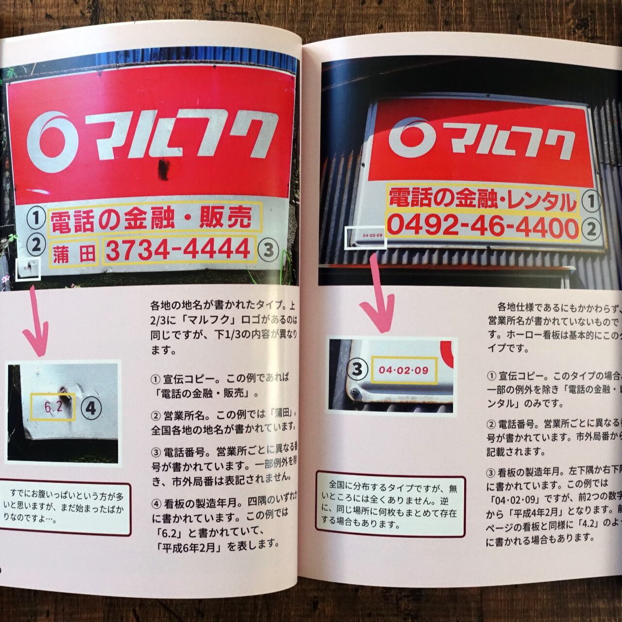 紅白看板マルわかり図鑑 hira | タイムカプセル