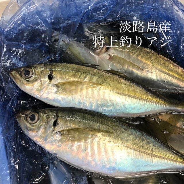 okawari　特上釣りアジ　鯵【淡路鯵4尾】冷蔵　マアジ　計4尾　1尾150-200gサイズ　淡路島産　豊洲直送の高級海産物をお届け