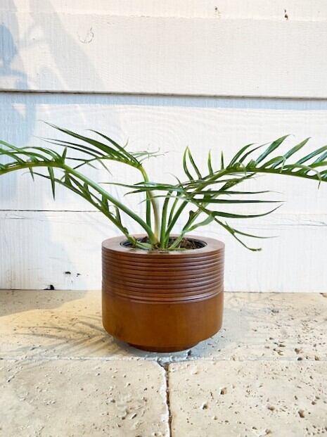 マンゴーウッド鉢カバー ※外径Φ15cm（内径Φ11cm）×H12cm