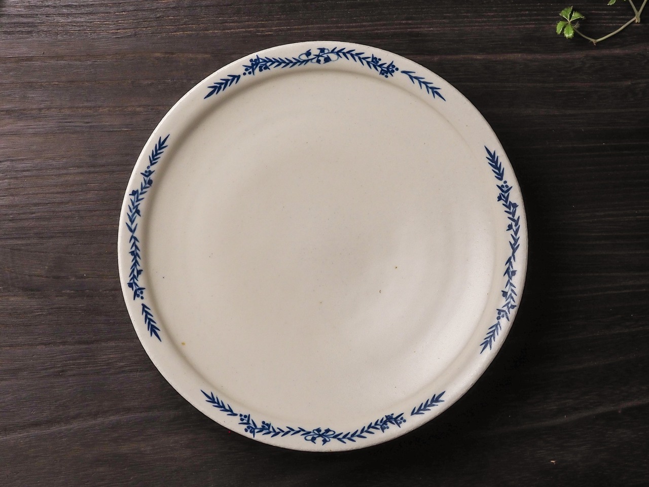 ７寸リムプレート／ichi（7寸皿・リム皿・パスタ皿）