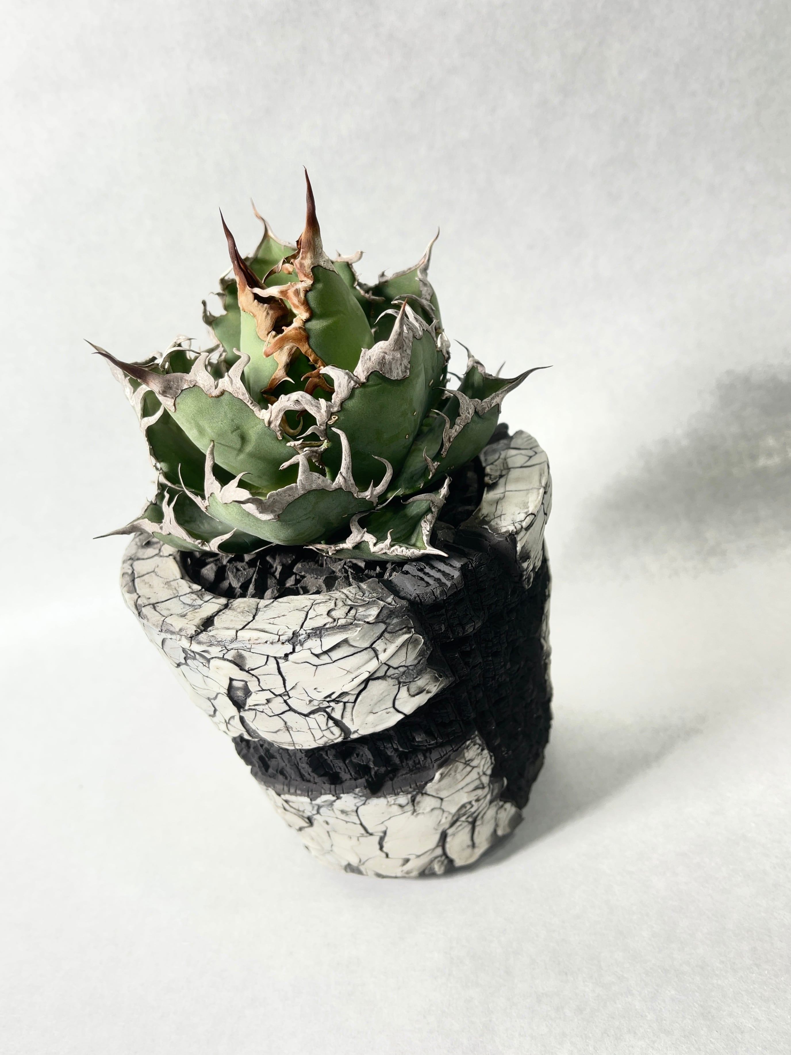 佐藤恵一・創造 | trigger