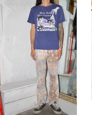 【sainen】1980s VIRGINIA T-SHIRT