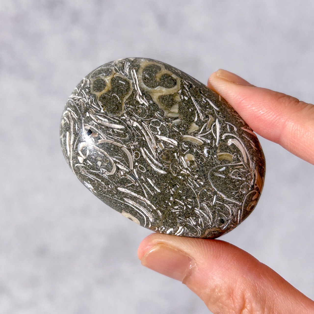 ツリテラアゲート 02 パーム * Turitella Agate * 天然石