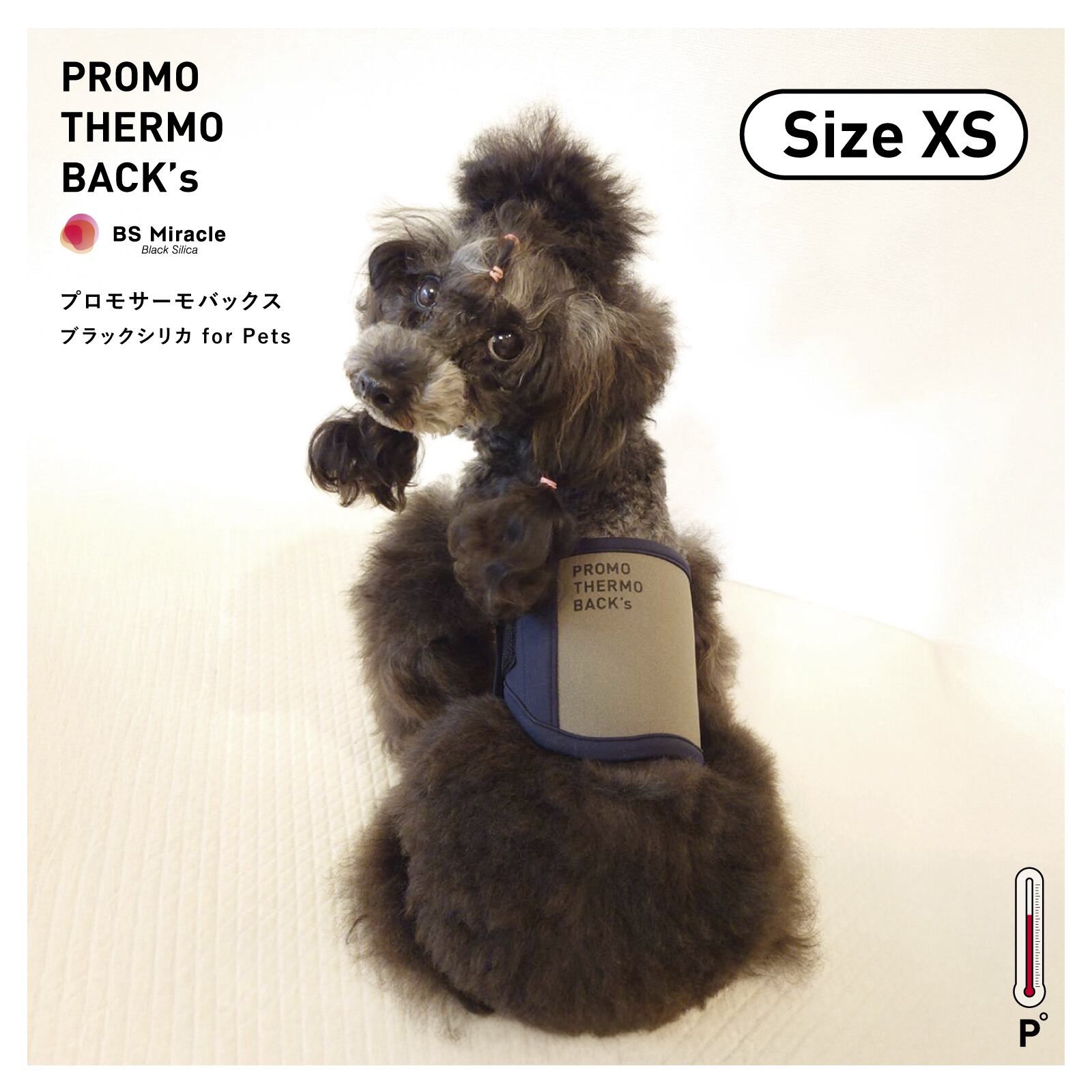 PROMO THERMO BACK's プロモサーモバックス 犬 Amazon | PROMO THERMO BACK's プロモサーモバックス ブラック