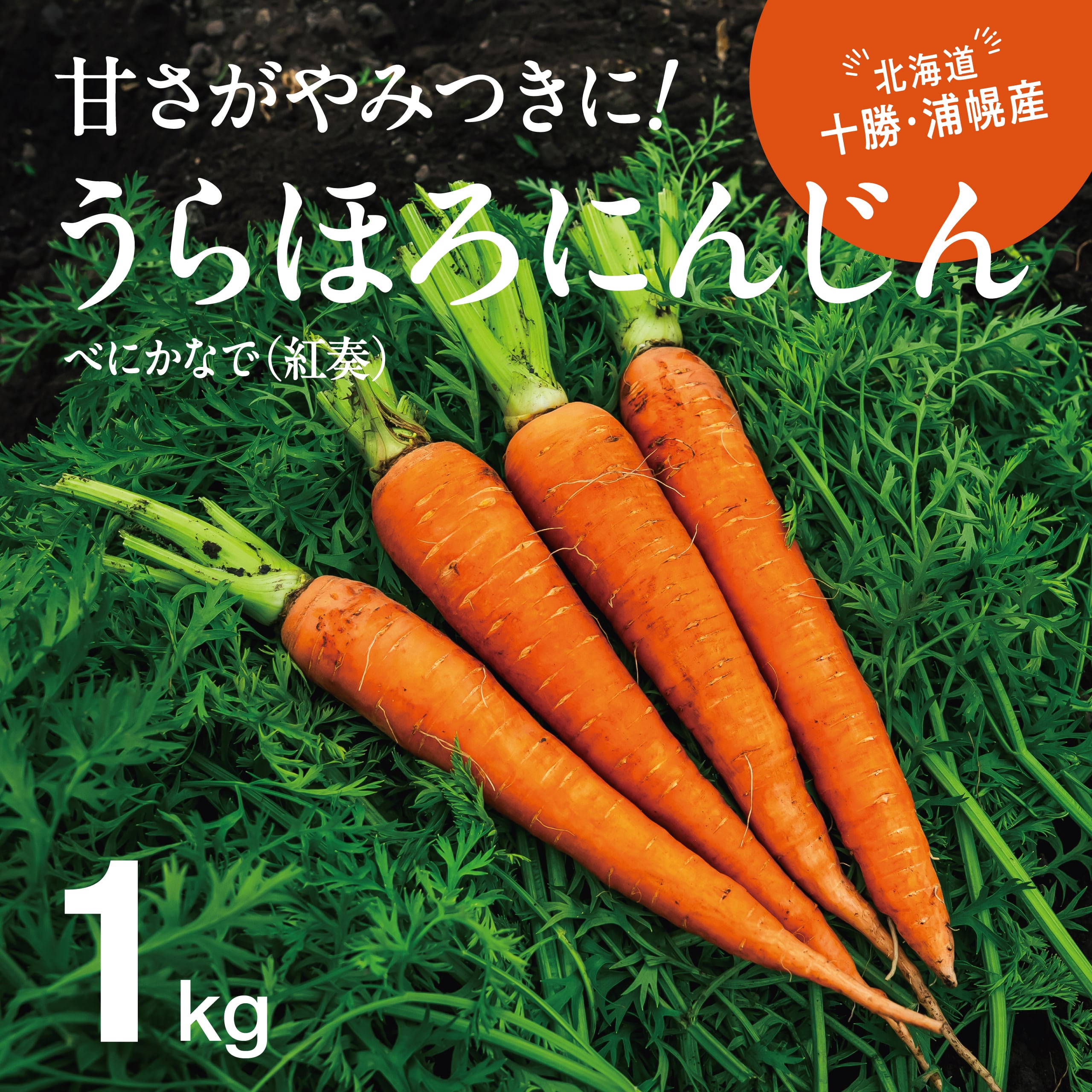 うらほろにんじん(1kg)北海道十勝・浦幌産