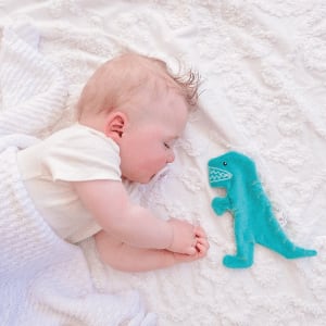 T-Rex with Crinckle_93205